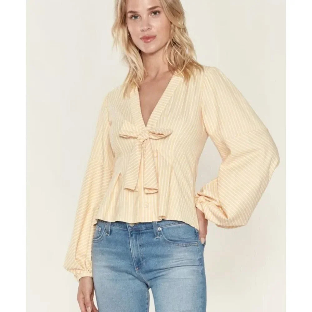 Petersyn Elinor Top NWT Plunging Neckline Long Sleeve Pleated Blouse Size XS
